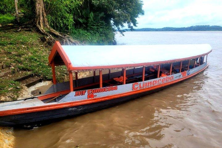 Spectacular Amazon Rainforest 3 Days 2 Nights Peru Amazon Tours