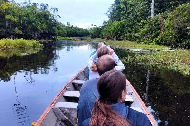 Excursão espetacular pela Floresta Amazônica no Peru: 3 dias e 2 noites
