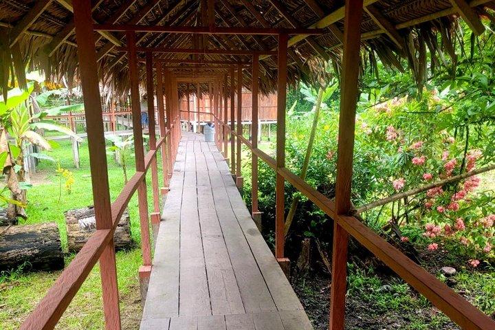 Spectacular Amazon Rainforest 3 Days 2 Nights Peru Amazon Tours