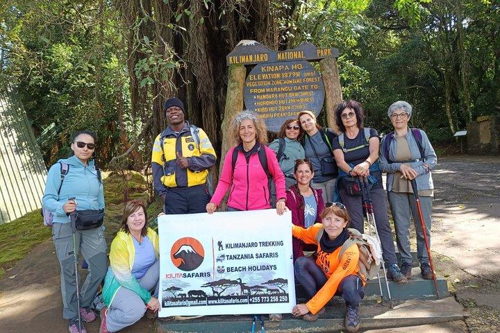 Kilimanjaro dagstur marangu rute