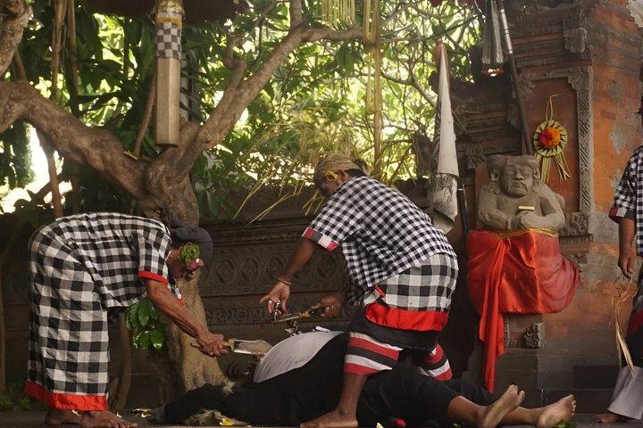 ウルワトゥ寺院：ケチャックと火のダンスショーチケット