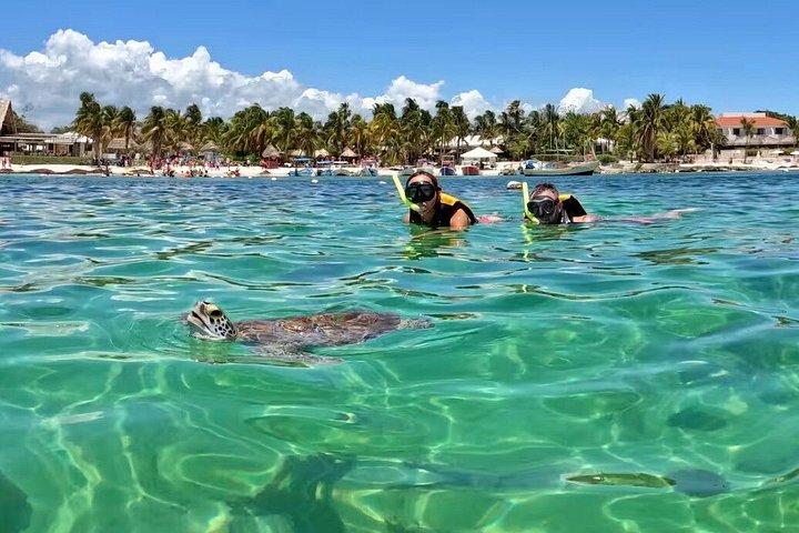 Akumal Turtle Sanctuary Snorkeling Marine Experience