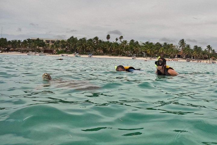 Akumal Turtle Sanctuary Snorkeling Marine Experience