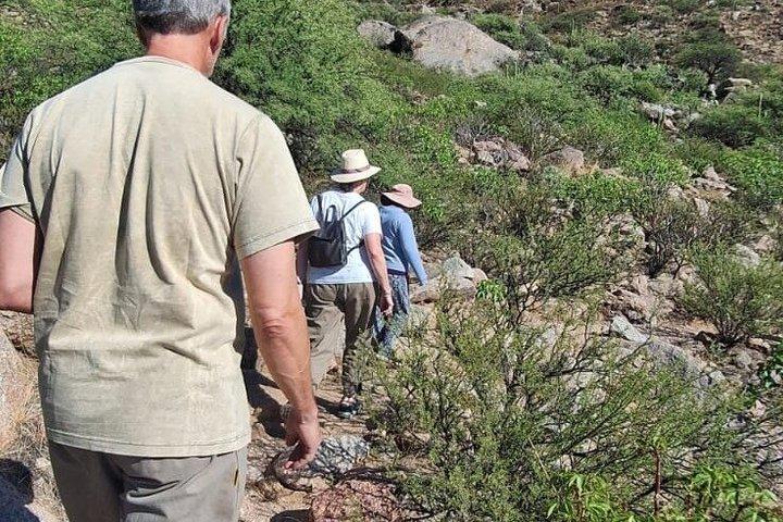 CAFAYATE 風景と歴史のキロメートルを歩く