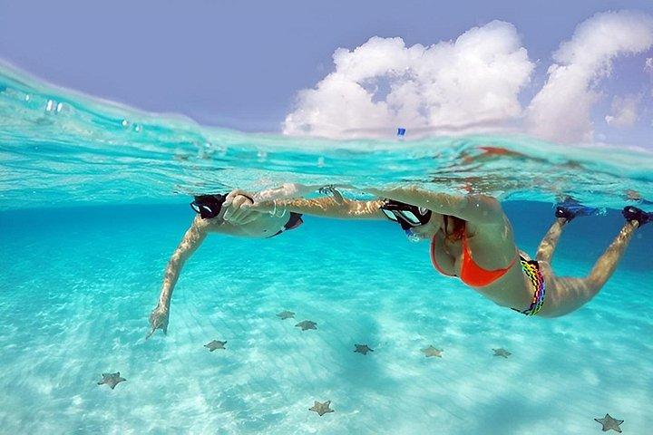 Cozumel El Cielo Snorkeling Reef and Marine Experience