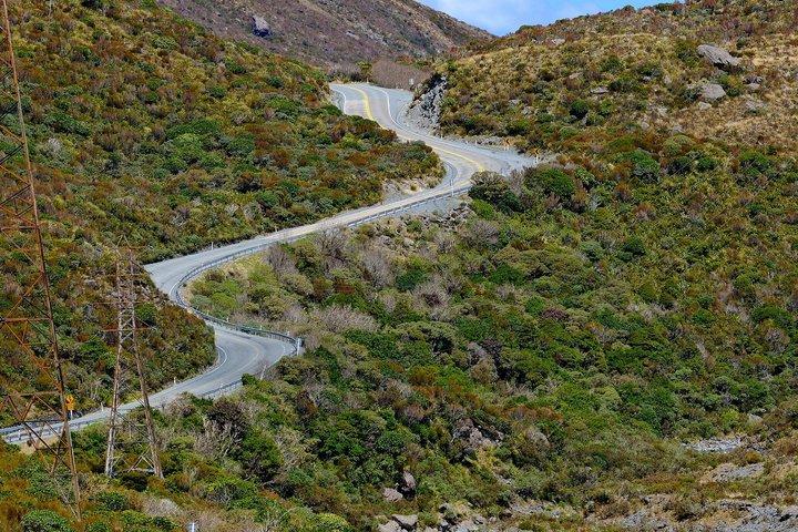 アーサーズパスツアー TranzAlpine クライストチャーチからグレイマウスまでの片道