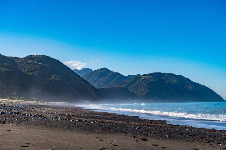 クライストチャーチ発ホエールウォッチングフライト付海幸浦日帰りツアー