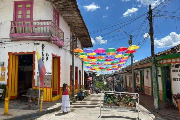 Tour Privado ao Vale Cocora e Salento com Transporte Incluído