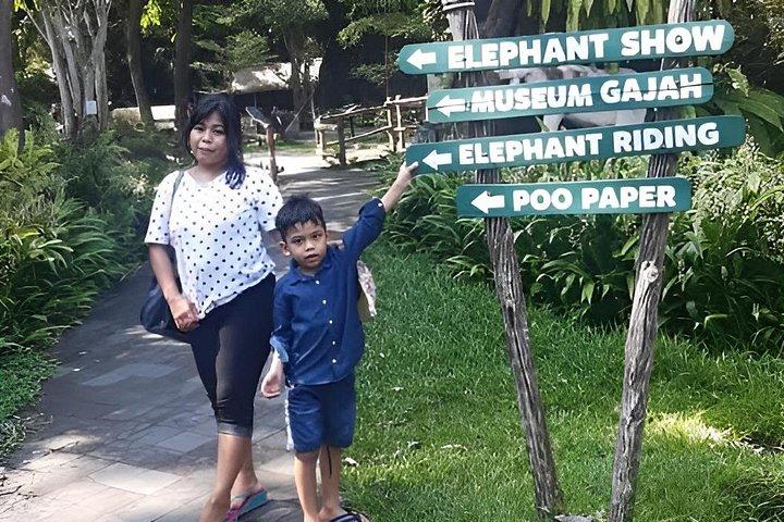 Bali Safari Reiseerlebnis