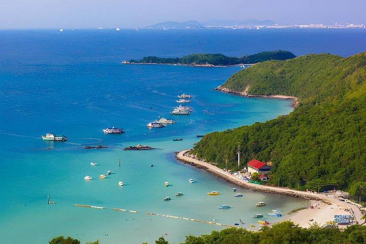 Koh Larn Monkey Beach Full Day Private Tour