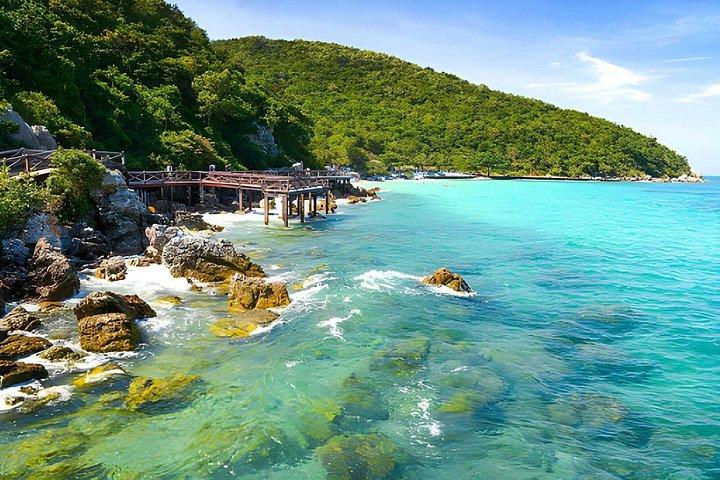 Koh Larn Monkey Beach Full Day Private Tour