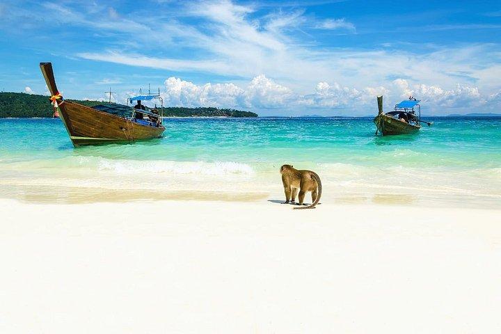 Koh Larn Monkey Beach Full Day Private Tour