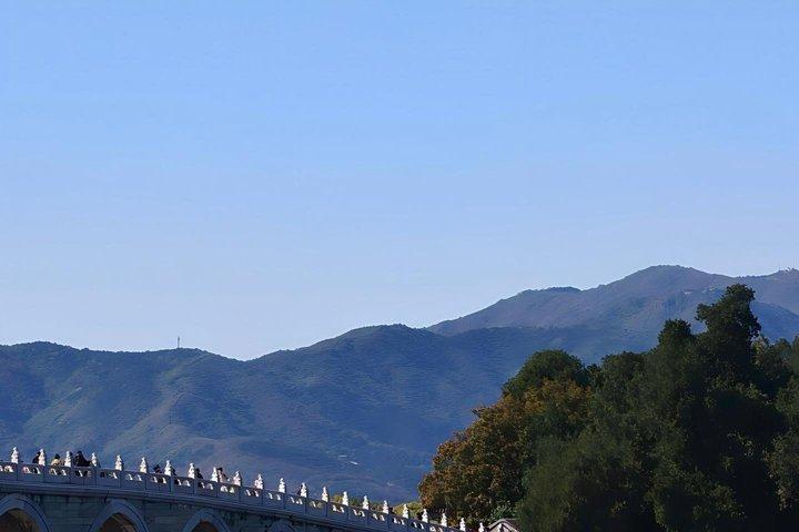 夏の宮殿隠れ宝石ツアー