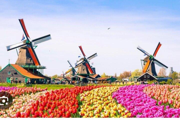Private Day Tour Windmills and Giethoorn Included Boat Tour