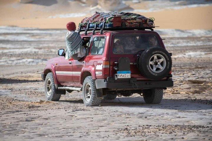 Tour a El Fayoum Safari nel deserto inclusa la Valle delle Balene