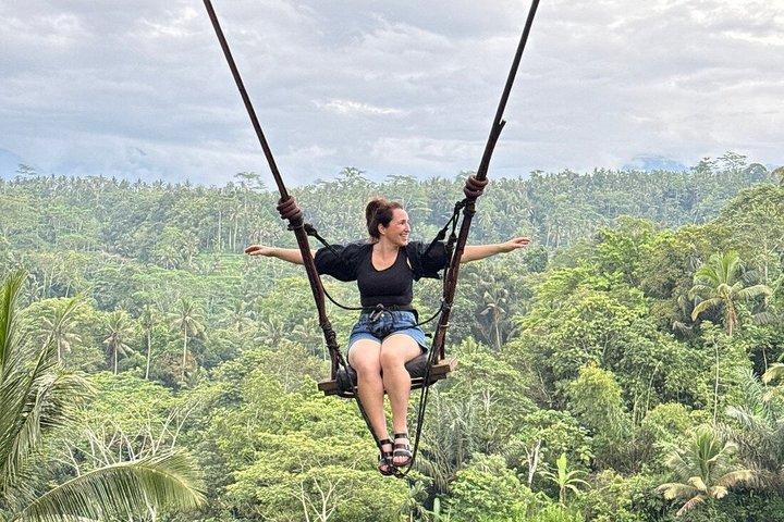Ubud privat tur risfält tempel vattenfall.