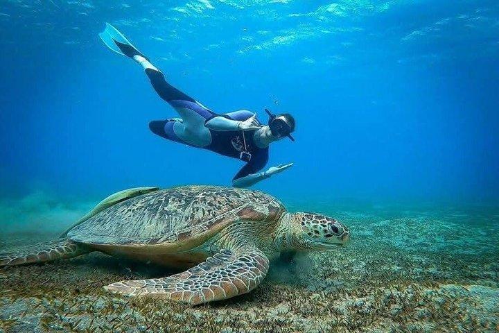 マルサ アラム 深海釣りアドベンチャー: アングラーズ パラダイス