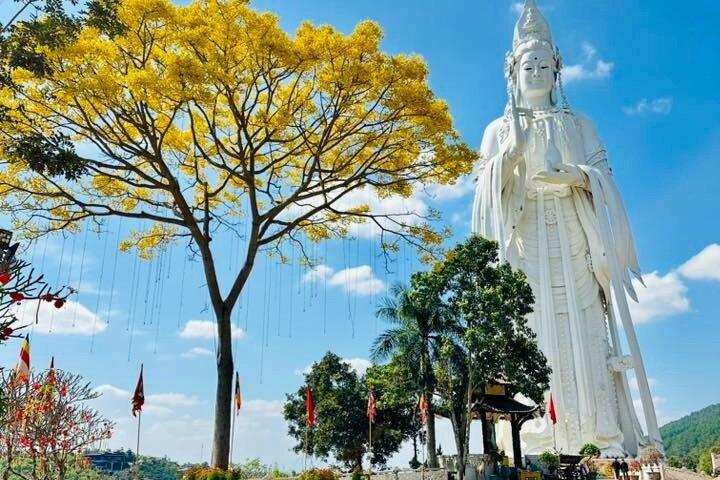 Tour privato della campagna di Dalat e cascate