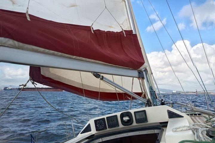 Passeio de barco à vela na Baía de Algeciras com golfinhos e tapas.