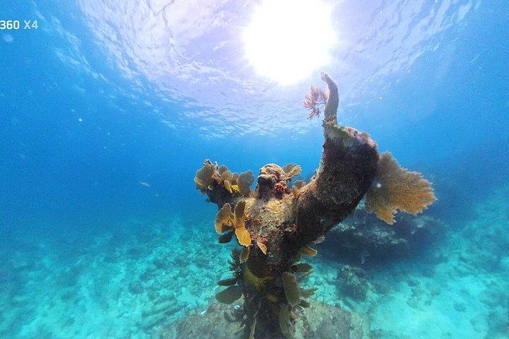 Mezza giornata Scuba Diving Trip nelle Florida Keys