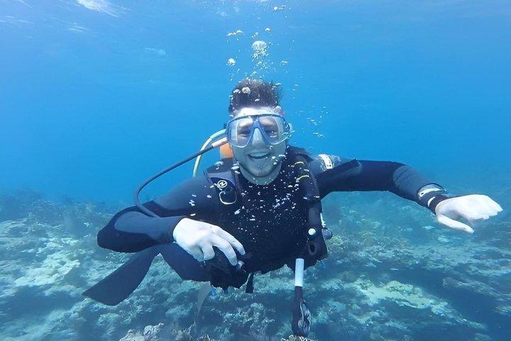 Mezza giornata Scuba Diving Trip nelle Florida Keys