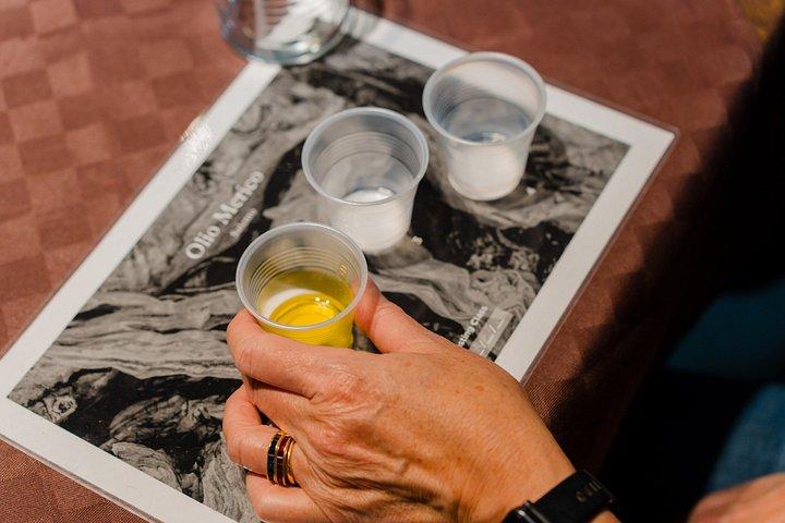 Olive Oil Mill experience and tasting in Salento with Guide