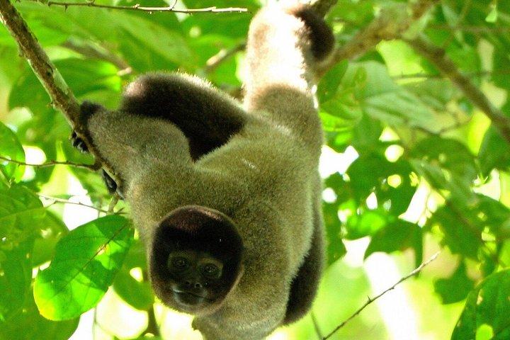 クスコのマヌ国立公園保護区を巡る6日間5泊のツアー