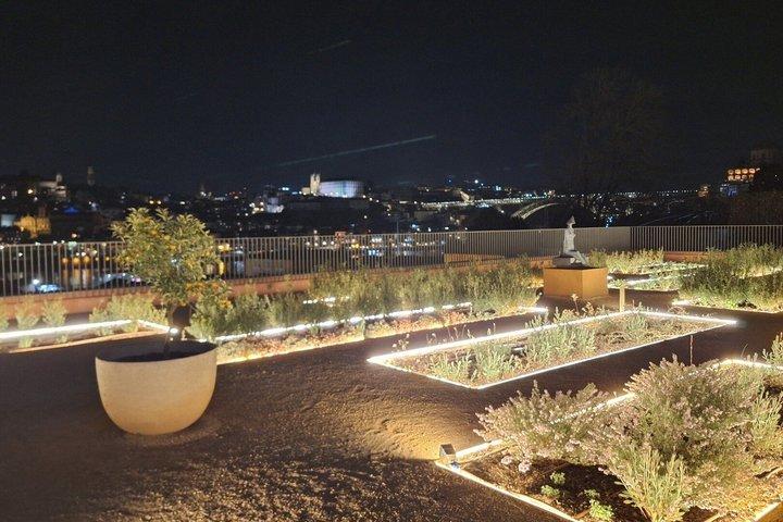 Privé Porto by Night Tour met oude stad, bruggen en uitzicht op Gaia