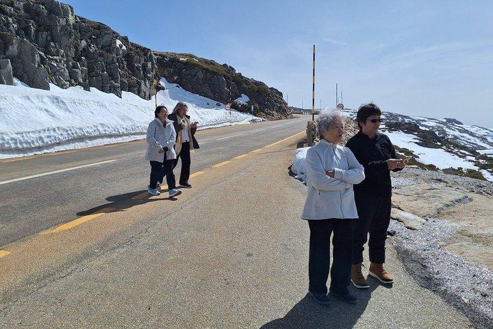 Privétour Serra da Estrela gastronomie & sneeuw vanuit Porto