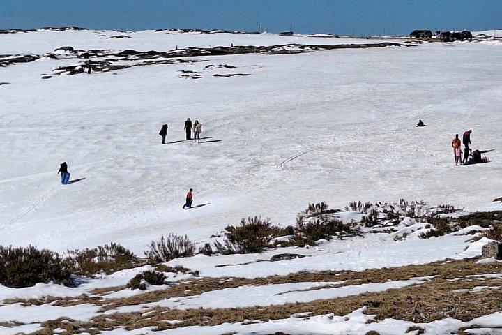 Privétour Serra da Estrela gastronomie & sneeuw vanuit Porto
