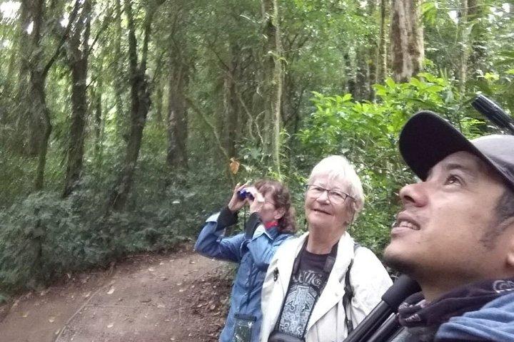 Curi-Cancha Birdwatching Tour | Grupo pequeno