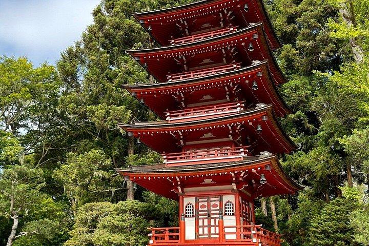 サンフランシスコ1日乗り降り自由20ストップ8時間