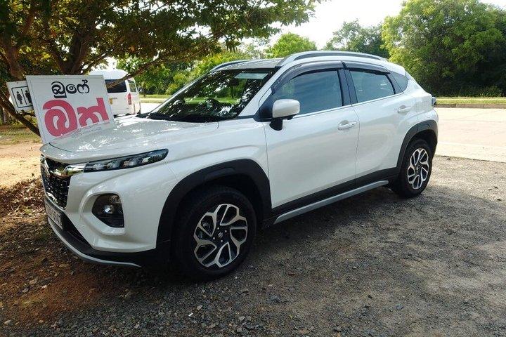 Tour privado en SUV personalizable con conductor