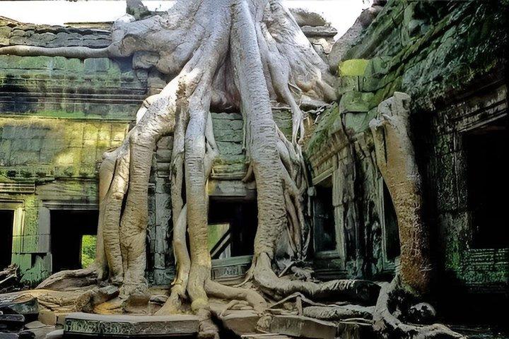 Angkor Wat – deutschsprachige Reiseleitung