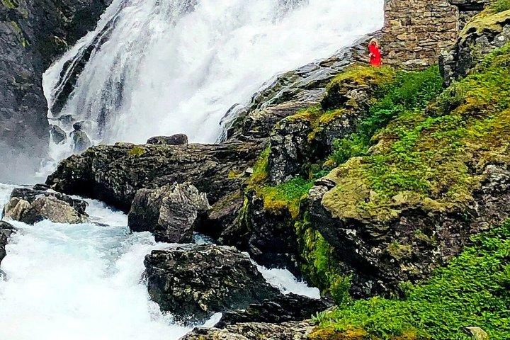 Journée complète privée Oslo à Sognefjord avec Flam Railway Stegastein