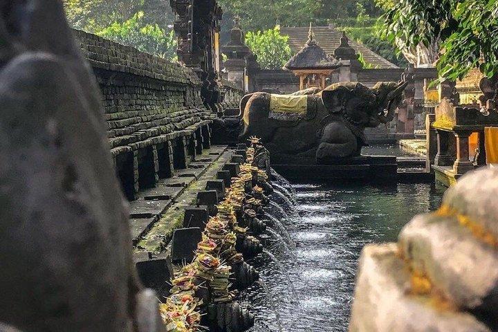 Tour de um dia privado em Bali com motorista Especialista e itinerário personalizado