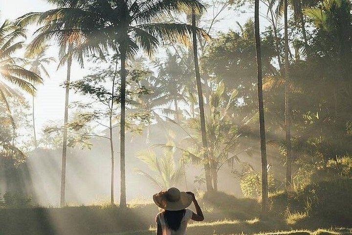 Private Bali Day Tour with Expert Driver & Customized Itinerary