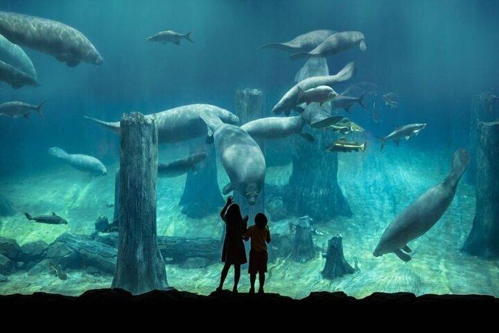 Evite colas : Ticket de admisión Singapore River Wonders