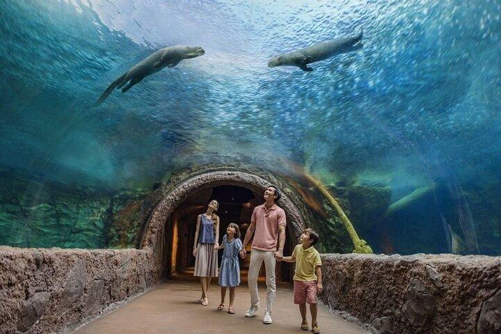 Evite colas : Ticket de admisión Singapore River Wonders