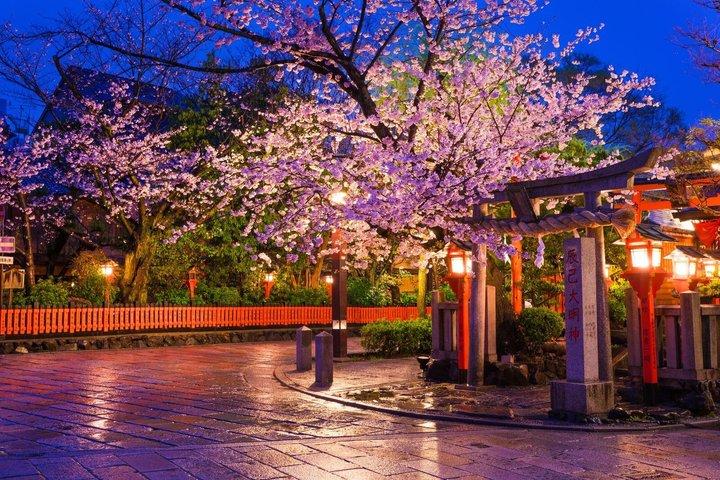 京都祇園裏通りと芸者伝統めぐり