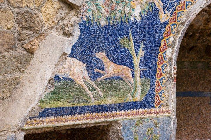 Herculaneum Tour de meio dia a partir de Sorrento com ingressos incluídos