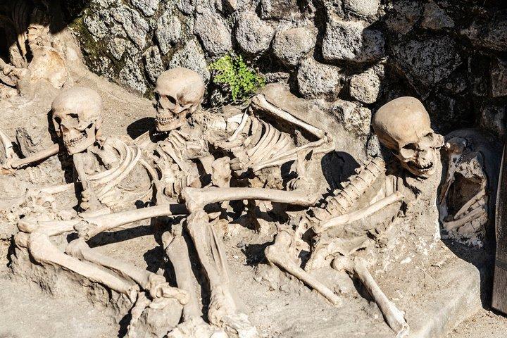 Herculaneum Tour de meio dia a partir de Sorrento com ingressos incluídos