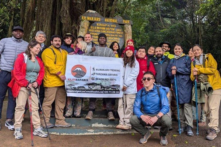 Best Mount Kilimanjaro Day Hike to Mandara Hut via Marangu Route