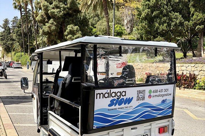 マラガの海岸沿いの名所を巡るプライベート電動トゥクトゥクツアー