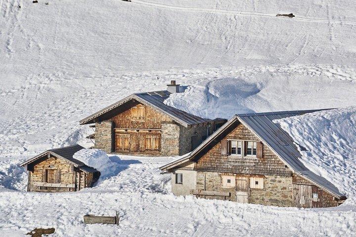 Da Zurigo: tour privato Monte Titlis e Lucerna