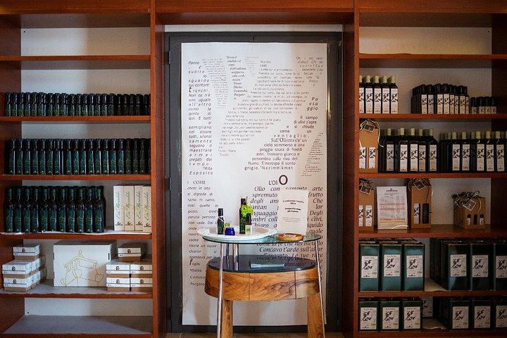 Olive Oil Tour and Tasting Experience in Salento