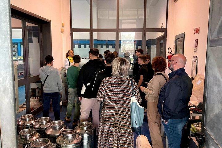 Olive Oil Tour and Tasting Experience in Salento
