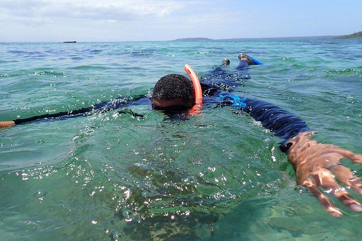 Guided Snorkelling Tour in Jervis Bay