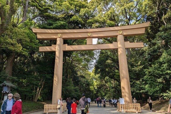 Sacred Meiji Jingu: tour a piedi con un rituale shintoista dal vivo