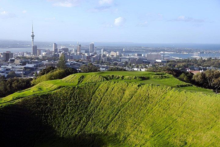 Auckland City Highlights Private Tour